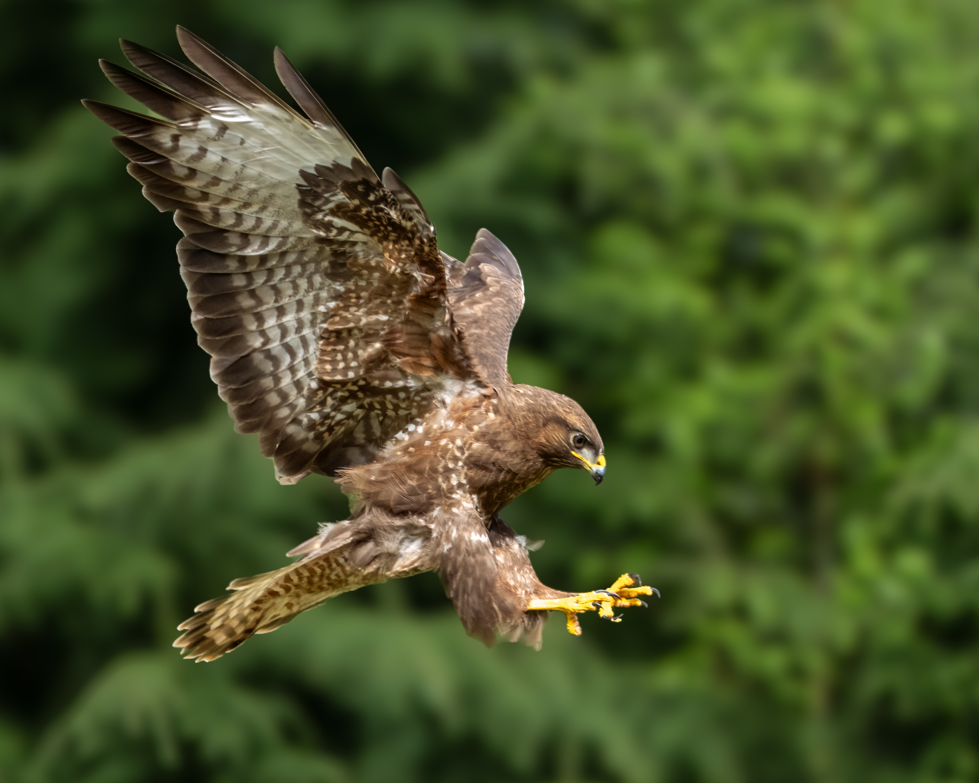 Fotografie vanuit schuilhut